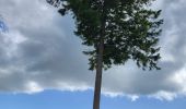 Trail Walking Vresse-sur-Semois - Allesur Semois 020625 - Photo 4