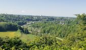 Trail Walking Thuin - Hourpes Thuin bois - Photo 1