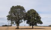 Trail Walking Verviers - Stembert . les Roudoudous . Stembert - Photo 1