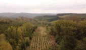 Percorso Marcia Bièvre - Balade de Gros-Fays à Cornimont - Photo 3