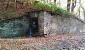 Tocht Stappen Spa - musée du l'avoir		+ bois de Spa + étang de Chawion - Photo 10