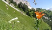 Randonnée A pied Cortina d'Ampezzo - Sentiero C.A.I. 211 - Photo 9