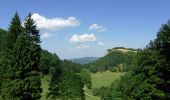 Percorso A piedi Gomadingen - Schafbersattel-Lochenbrünnele - Photo 6