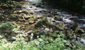Trail Walking Orgeix - L’ Oriege - Photo 2