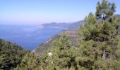 Tocht Te voet Riomaggiore - Sentiero Verde Azzurro: Telegrafo - Montenero - Riomaggiore - Photo 5