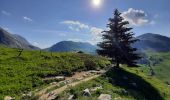 Trail Walking Le Grand-Bornand - BARGY: LE CHINAILLON - LAC DE LESSY - Photo 10