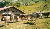 Percorso A piedi Treppo Ligosullo - Sentiero della Farinarie - Photo 1