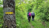 Trail Walking Roquefort-sur-Soulzon - le rocher de Roucangel - Photo 3
