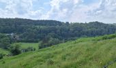 Tocht Stappen Ferrières - vieuxville - Photo 6