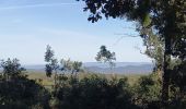 Tour Wandern Méjannes-le-Clap - Mejannes le clap par Rocher de l'Aigle - Photo 15