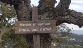 Trail Walking Roquebrune-sur-Argens - Issambres - Photo 4