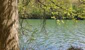 Trail Walking Froidchapelle - La balade du bois du Grand Oupia aux lacs de l'eau d'heure - Photo 19