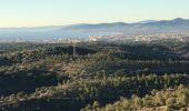 Trail  Fréjus - Colle douce - vers Capelan  - Photo 4