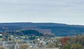 Excursión Senderismo Saint-Hubert - SityTrail - Saint-Hubert - Les Gottes (SH02) - Photo 3
