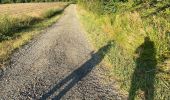Trail Walking Nogaro - GR 65 Nogaro > Aire sur Adour - Photo 12