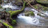 Trail On foot Cantagallo - Sentiero CAI 38A - Sez. Prato - Photo 7