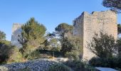 Tour Wandern Tarascon - CR_Domitia_BA_23_Tarascon_St-Remy-Provence_20220404 - Photo 10