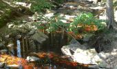 Trail Walking Malmedy - Les fagnes en été - Photo 5