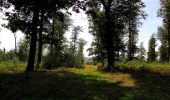 Tour Wandern Haramont - en forêt de Retz_79_08_2019_vers Taillefontaine et Retheuil par les lisières - Photo 7