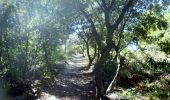 Trail Walking Laure-Minervois - LAURE MINERVOIS - Le sentier des Capitelles - Photo 14