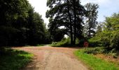 Excursión Senderismo Haramont - en forêt de Retz_79_08_2019_vers Taillefontaine et Retheuil par les lisières - Photo 3