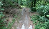 Tocht Paardrijden Habay - Forêt de Rulles - Photo 6