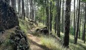 Trail Walking Rocchetta di Vara - Cuccaro - Belvedere - Photo 2