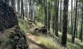 Excursión Senderismo Rocchetta di Vara - Cuccaro - Belvedere - Photo 2