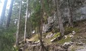 Excursión Senderismo Saint-Pierre-d'Entremont - le Grand Manti au départ de Les Varlat en passant par L'Alpette de la Dame  - Photo 9