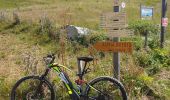 Trail Mountain bike Le Bouchet-Mont-Charvin - manigod - Photo 5
