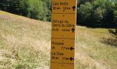 Randonnée Marche Rencurel - la goulandiere balme de rancurel - Photo 5