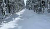 Percorso Racchette da neve Malmedy - Randonnée raquettes Mont Spinette-Malmédy - Photo 2