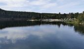 Trail Walking Waimes - Barrage de Robert Ville et Château Steinhart - Photo 15