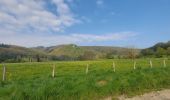 Tocht Stappen La Roche-en-Ardenne - la roche - rendeux - la roche - Photo 10