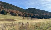 Trail  Corrençon-en-Vercors - Col de château Julien  - Photo 4