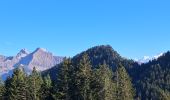 Trail Walking Glières-Val-de-Borne - GLIERES: TOUR DES FRETES - Photo 2