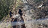 Trail Horseback riding Florenville - Les Epioux  - Photo 11