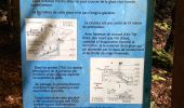 Percorso Marcia Corrençon-en-Vercors - balladecavec les copines - Photo 2