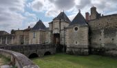 Tour Wandern Champigny-sur-Veude - Champigny-sur-Veude - Richelieu Chaveignes - 23.2km 180m 5h15 (50mn) - 2024 09 10 - Photo 8