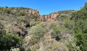 Tour Wandern Bagnols-en-Forêt - Crête Diaou et gorges du Blavet - Photo 17