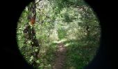 Randonnée Marche Puy-Saint-Martin - La Montagne de Ste-Euphémie - Puy-St-Martin - Manas - Photo 3