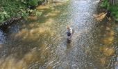Trail Walking Saint-Hubert - WandArdBos 14 Mirwart (PVDB) - Photo 9