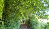 Tocht Stappen Manhay - Moulin de Lafosse - Photo 15