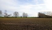 Tocht Stappen Itter - Ittre, Bois des Frères, Champ d'Hurbise - Photo 12