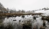 Randonnée Marche Butgenbach - Le lac miroir à Bütgenbach   - Photo 1