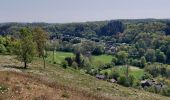 Tocht Stappen Ferrières - Sy 030522 - Photo 10