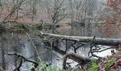 Tour Wandern Watermael-Boitsfort - Watermaal-Bosvoorde - Forêt de Soignes - Photo 4