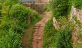 Tocht Te voet Birkenhördt - Bad Bergzaberner Landweg - Photo 7