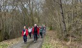 Randonnée Marche Paliseul - Maissin, la Lesse 4 - Photo 10