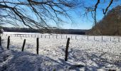 Tour Wandern La Roche-en-Ardenne - Samree 130125 - Photo 10